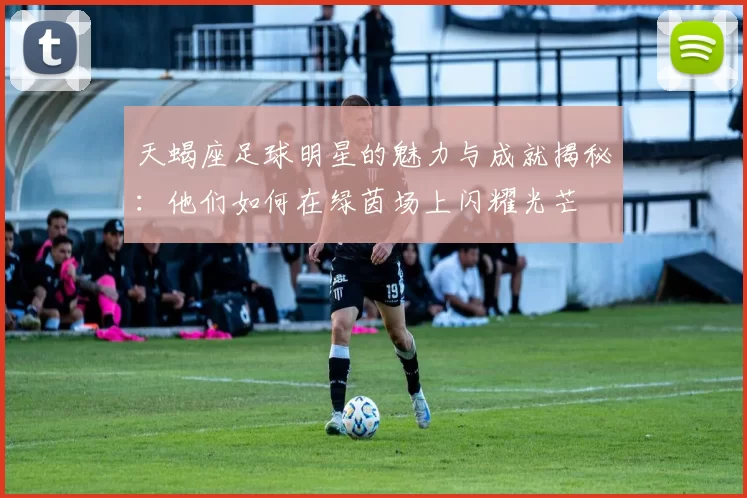 天蝎座足球明星的魅力与成就揭秘：他们如何在绿茵场上闪耀光芒