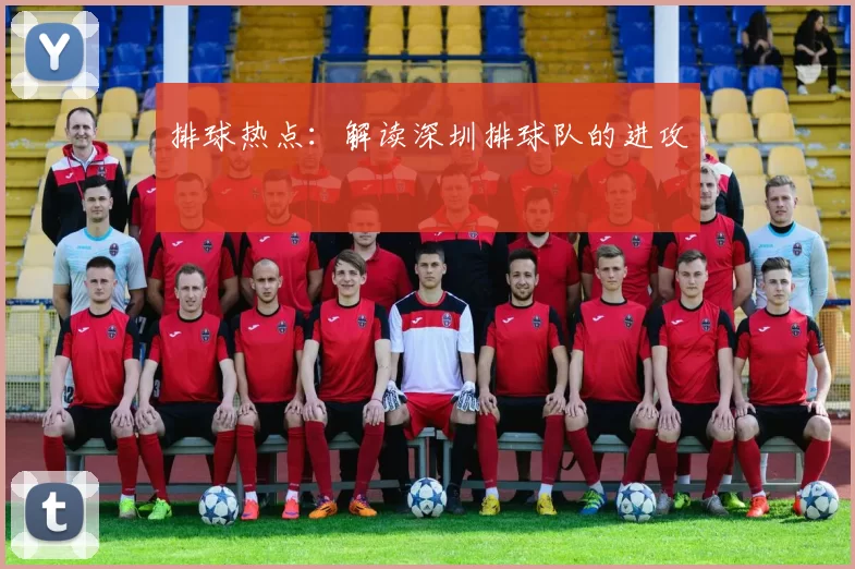 排球热点：解读深圳排球队的进攻