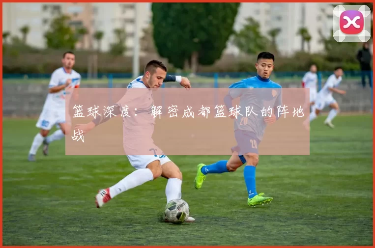 篮球深度：解密成都篮球队的阵地战